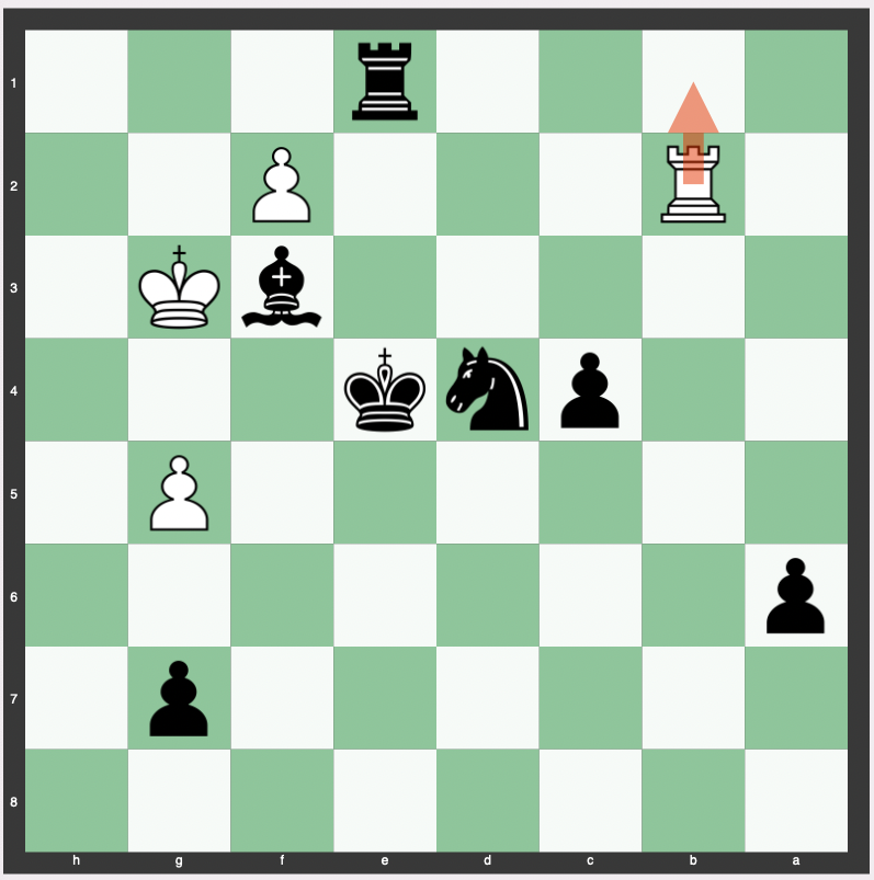 Zugzwang in Chess